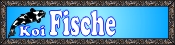 Koi, Teichbau, Filteranlagen, Filter, Teichbepflanzung,