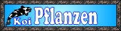 Pflanzen